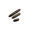 KCH 2054