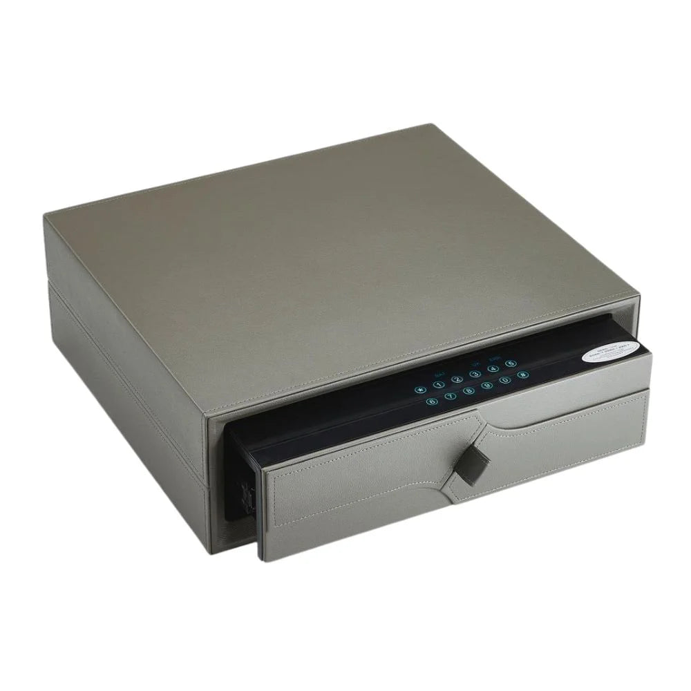 AZL Fingerprint Leather Safebox