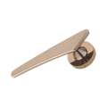 Carey